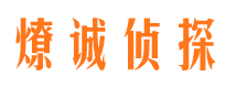 钢城市调查公司